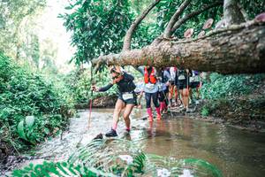 BIB: 
                            <button type="button" onclick="openModal(25475898)" class="btn btn-primary btn-sm float-right btn-popup" data-toggle="modal" data-target=".modal-high-quality">
                        <i class="fas fa-shopping-cart"></i> Add to Cart
                    </button>
                                            <button type="button" onclick="isThisMe(25475898, true)" class="btn btn-success btn-sm float-right btn-popup btn-isme hidden" data-toggle="tooltip" data-placement="bottom" title="นี่คือรูปของคุณใช่ไหม คลิกที่นี่เพื่อเอาเข้าอัลบั้ม">
                        <i class="fas fa-plus"></i> Add to album
                    </button>
                    <button type="button" onclick="isThisMe(25475898, false)" class="btn btn-warning btn-sm float-right btn-popup btn-isnotme hidden">
                        <i class="fas fa-ban"></i> Remove from album
                    </button>